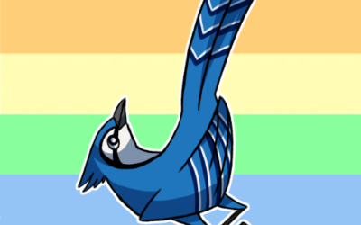Studio Blue Jay
